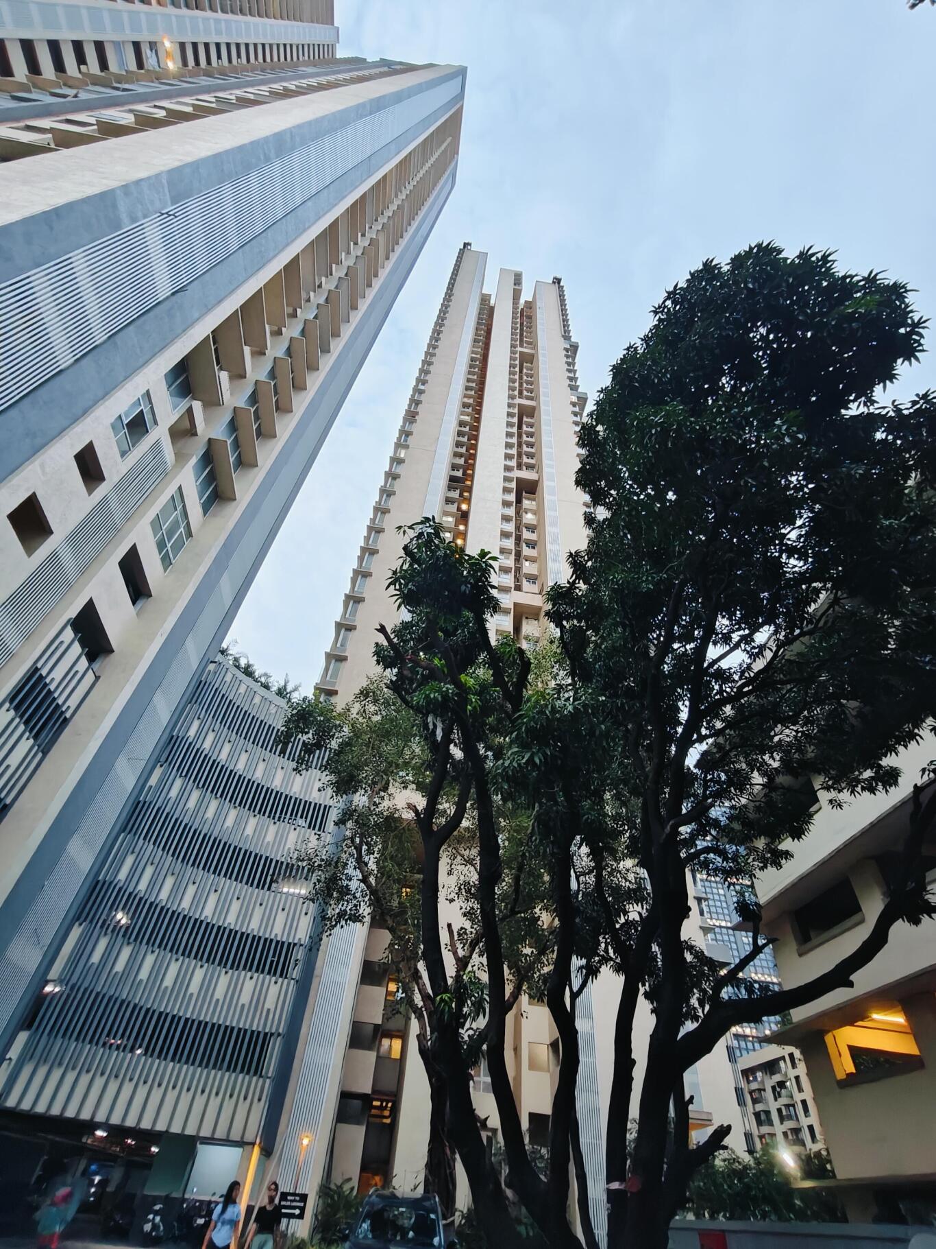 9czjh77_1729498257_526108481_optOrig