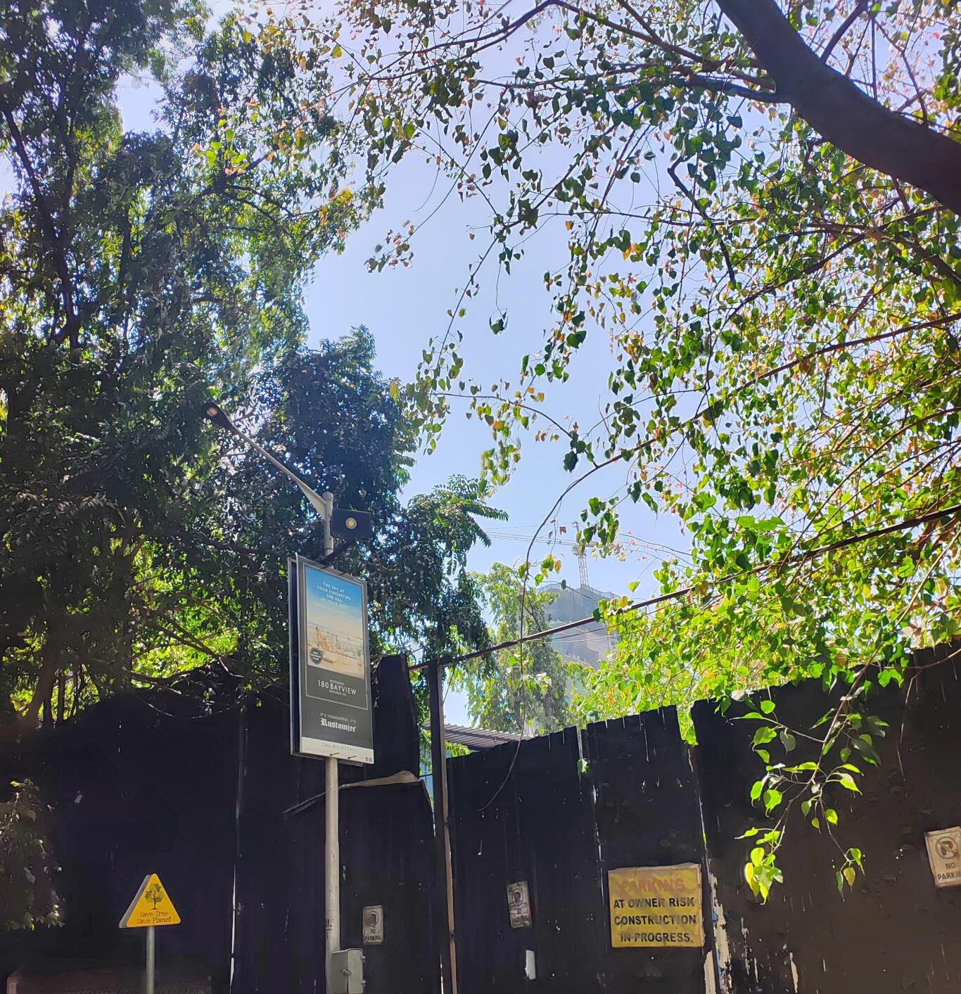 ymfxg29_1743587073_582749061_optOrig