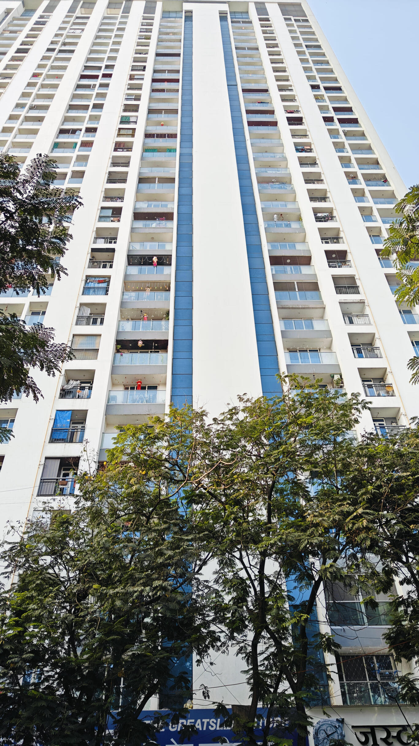 wwj95ey_1734238740_537964171_optOrig